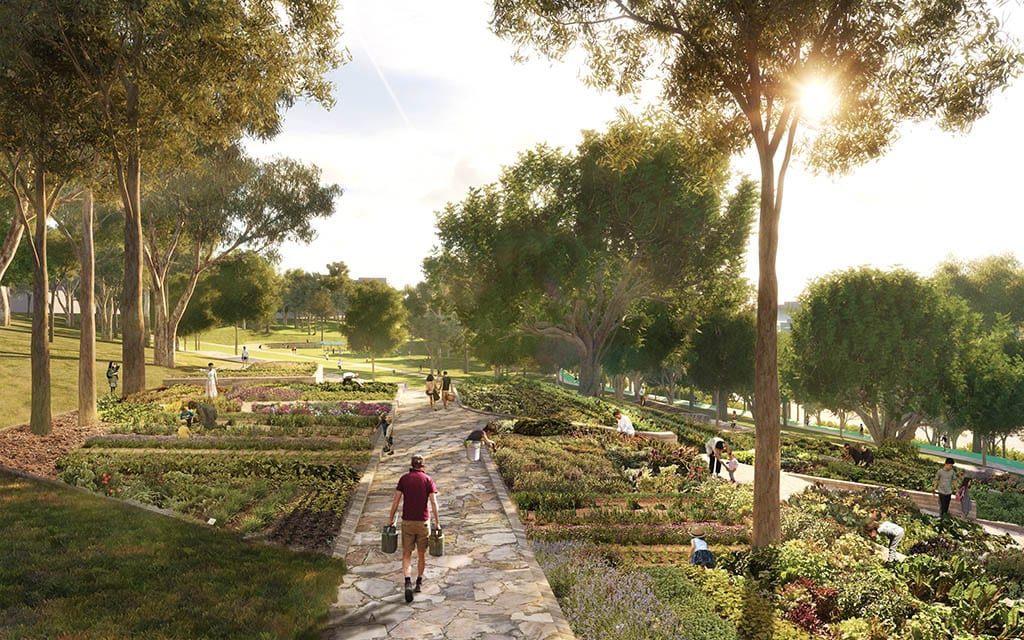 concept drawing of Springhill common Victoria Park redevelopment in Brisbane